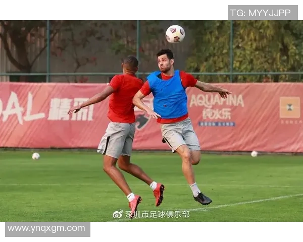 深圳足球队在锦标赛中的默契配合与战术执行分析