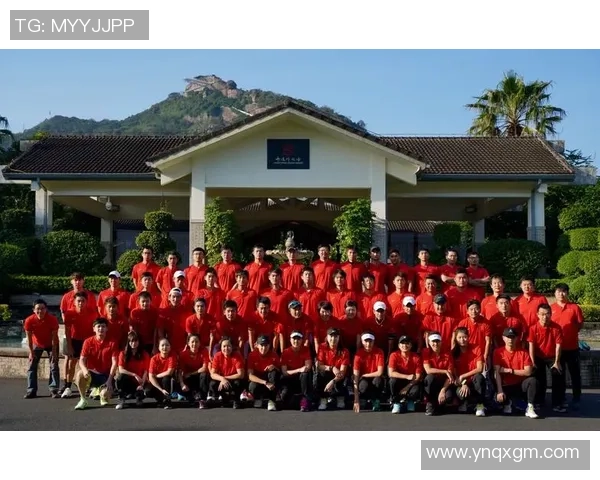 重庆网球队意识对比分析揭示团队协作与个人能力的微妙关系